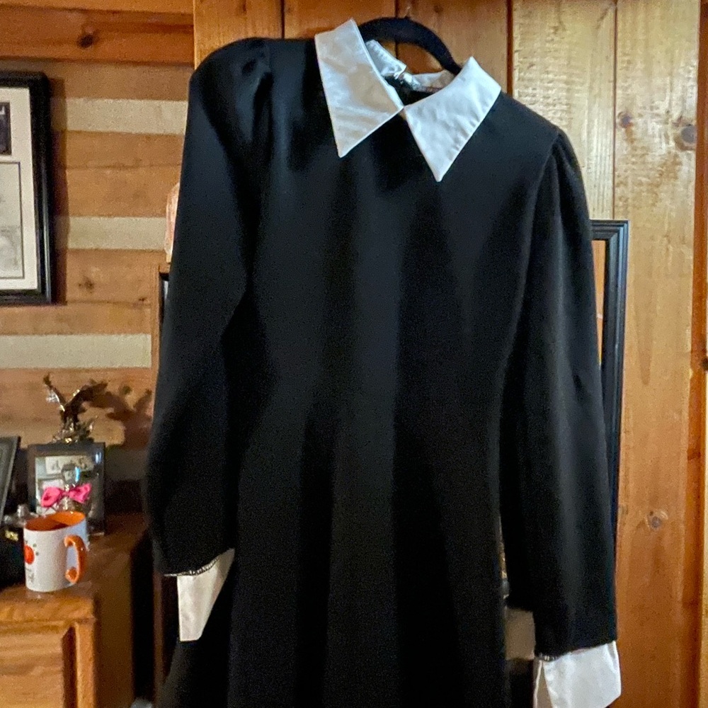 Wednesday Addams
Black Dress with White Collar and Cuffs… an matching wig